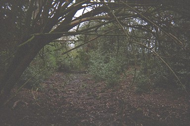 Photo here