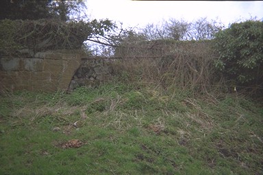 Photo here