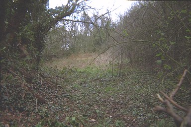 Photo here