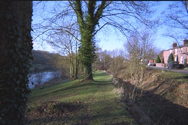 Photo here