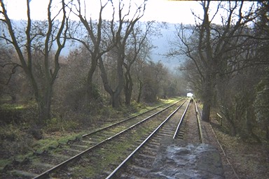 Photo here