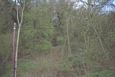 Photo here