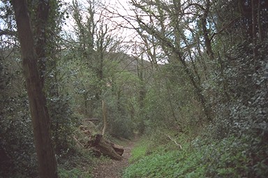Photo here