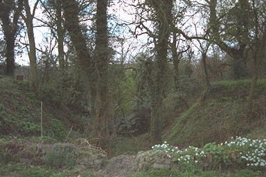 Photo here