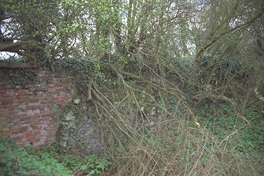 Photo here