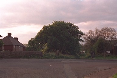 Photo here