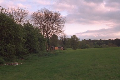 Photo here