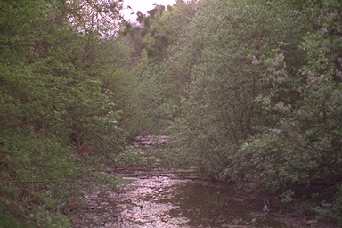 Photo here