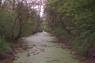 Photo here