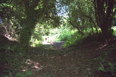 Photo here