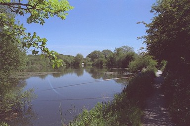 Photo here