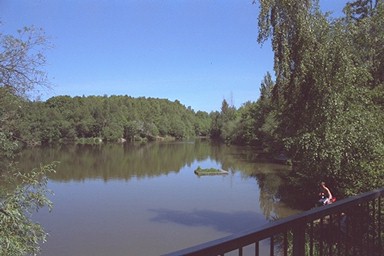 Photo here
