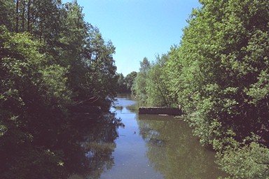 Canals
