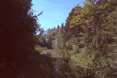 Photo here