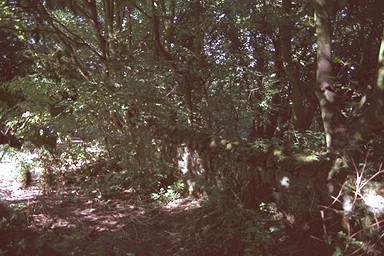Photo here