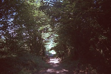 Photo here