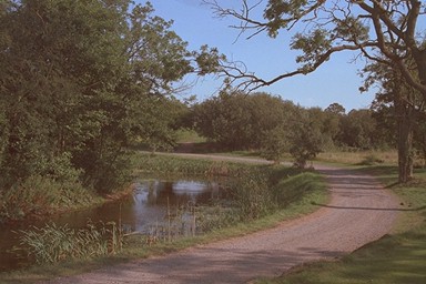 Photo here