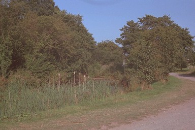 Photo here