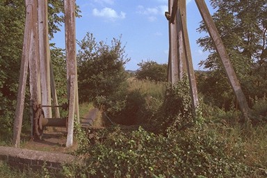 Photo here