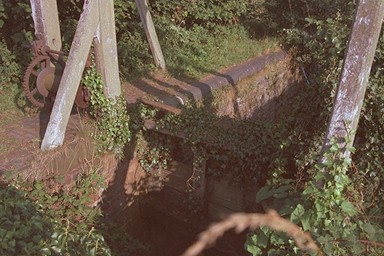 Photo here