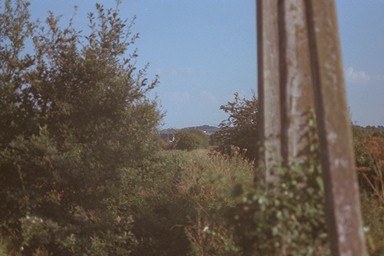 Photo here