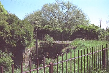 Photo here