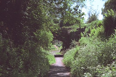 Photo here