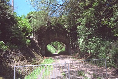 Photo here
