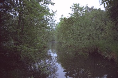 Photo here