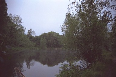 Photo here