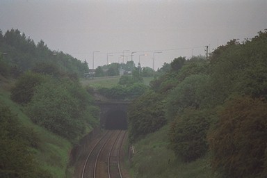 Photo here