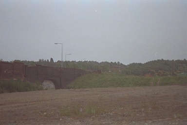 Photo here