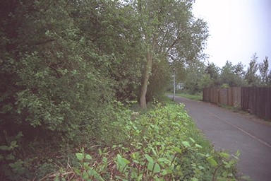 Photo here