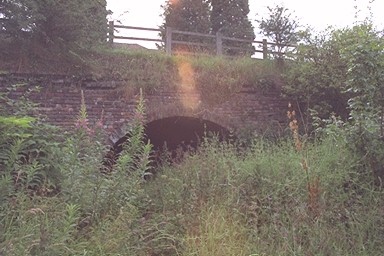 Photo here