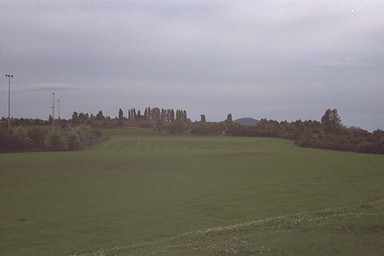 Photo here