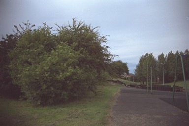 Photo here